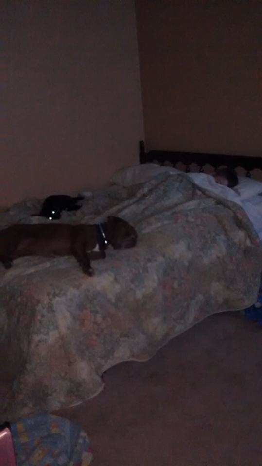 Chico and Beauty